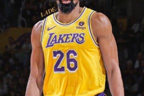 好博体育官方马特拉齐转会国际米兰